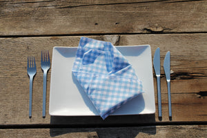 Light Blue Checkered Napkins - Sew & Such & More